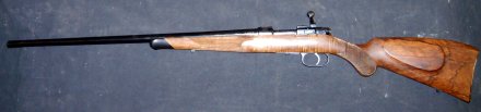 SUNDOG STYLE STOCK